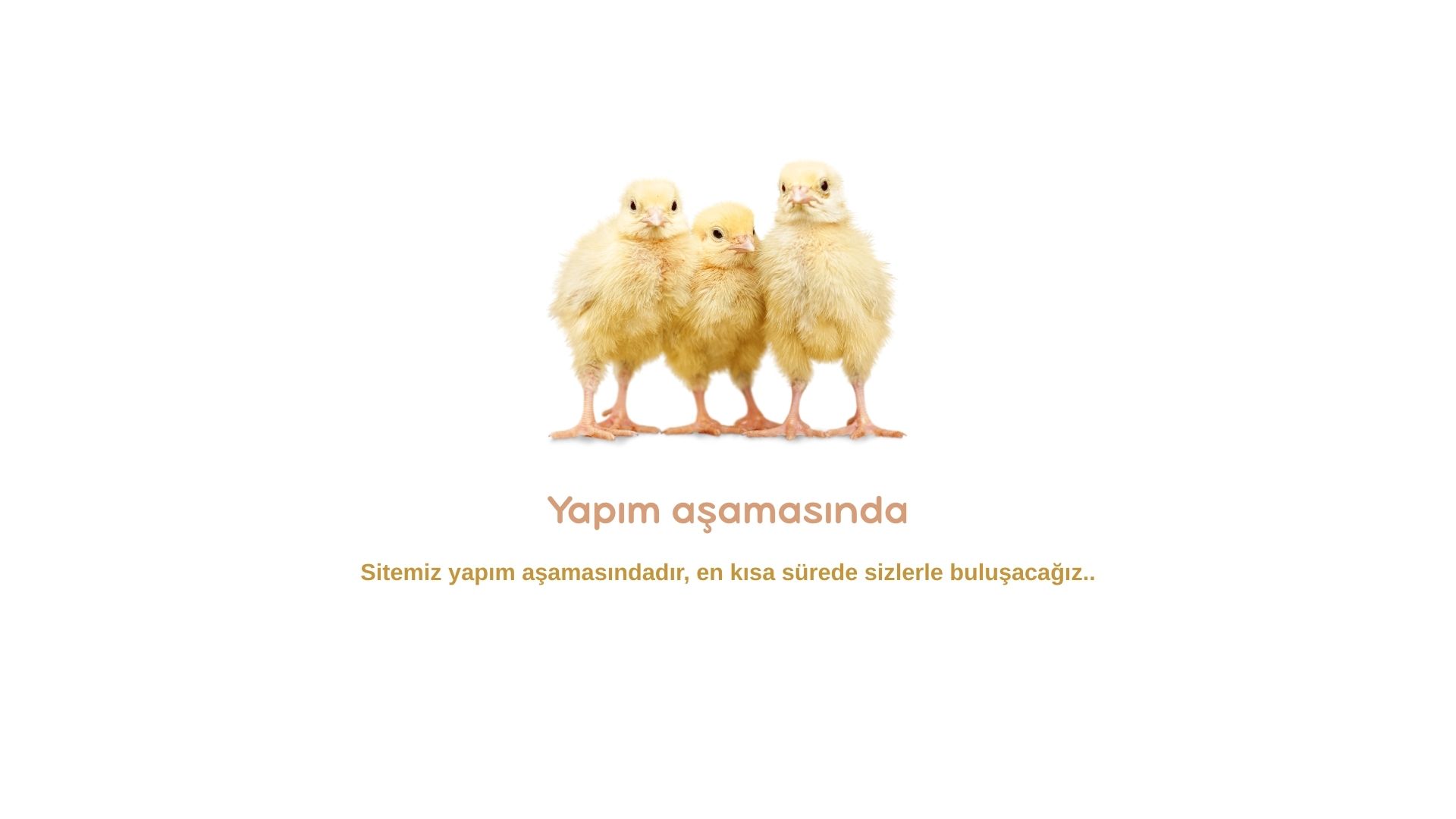 Yapım Aşamasında